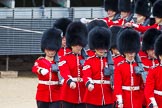 Major General's Review 2013: The March Past in Quick Time-Welsh Guards..
Horse Guards Parade, Westminster,
London SW1,

United Kingdom,
on 01 June 2013 at 11:42, image #542