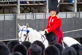 Major General's Review 2013: The Adjutant of the Parade, Captain C J P Davies, Welsh Guards during the March Past in Qucik Time..
Horse Guards Parade, Westminster,
London SW1,

United Kingdom,
on 01 June 2013 at 11:43, image #548