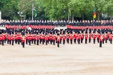 Major General's Review 2013: At the end of the March Past in Quick Time, all five guards on the northern side of Horse Guards Parade peform a ninety-degree-turn at the same time..
Horse Guards Parade, Westminster,
London SW1,

United Kingdom,
on 01 June 2013 at 11:47, image #559