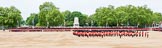 Major General's Review 2013: At the end of the March Past in Quick Time, all five guards on the northern side of Horse Guards Parade peform a ninety-degree-turn at the same time..
Horse Guards Parade, Westminster,
London SW1,

United Kingdom,
on 01 June 2013 at 11:47, image #561