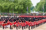 Major General's Review 2013: The Ride Past - the King's Troop Royal Horse Artillery..
Horse Guards Parade, Westminster,
London SW1,

United Kingdom,
on 01 June 2013 at 11:50, image #575