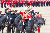 Major General's Review 2013: The Mounted Bands of the Household Cavalry during the Ride Past. The Director of Music of the Household Cavalry, Major Paul Wilman, The Life Guards..
Horse Guards Parade, Westminster,
London SW1,

United Kingdom,
on 01 June 2013 at 11:54, image #637