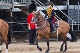 Major General's Review 2013: The Ride Past - the King's Troop Royal Horse Artillery.
Horse Guards Parade, Westminster,
London SW1,

United Kingdom,
on 01 June 2013 at 11:55, image #638