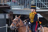 Major General's Review 2013: The Ride Past - the King's Troop Royal Horse Artillery..
Horse Guards Parade, Westminster,
London SW1,

United Kingdom,
on 01 June 2013 at 11:55, image #639