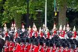 Major General's Review 2013: The Household Cavalry is marching off, led by the Field Officer of the Escort, Major Nick Stewart, The Life Guards, followed by the Trumpeter, Standard Bearer, Standard Coverer. and The Life Guards as first and second divisions of the Sovereign's Escort..
Horse Guards Parade, Westminster,
London SW1,

United Kingdom,
on 01 June 2013 at 12:04, image #692