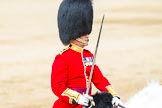 Major General's Review 2013: The Field Officer in Brigade Waiting, Lieutenant Colonel Dino Bossi, Welsh Guards, rides towards the dais to ask HM The Queen's permission to march off..
Horse Guards Parade, Westminster,
London SW1,

United Kingdom,
on 01 June 2013 at 12:05, image #698