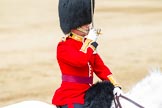 Major General's Review 2013: The Field Officer in Brigade Waiting, Lieutenant Colonel Dino Bossi, Welsh Guards, rides towards the dais to ask HM The Queen's permission to march off..
Horse Guards Parade, Westminster,
London SW1,

United Kingdom,
on 01 June 2013 at 12:05, image #699