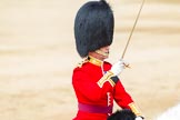 Major General's Review 2013: The Field Officer in Brigade Waiting, Lieutenant Colonel Dino Bossi, Welsh Guards, rides towards the dais to ask HM The Queen's permission to march off..
Horse Guards Parade, Westminster,
London SW1,

United Kingdom,
on 01 June 2013 at 12:05, image #700