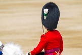 Major General's Review 2013: The Field Officer in Brigade Waiting, Lieutenant Colonel Dino Bossi, returns to the guards after HM The Queen has given permission to march off..
Horse Guards Parade, Westminster,
London SW1,

United Kingdom,
on 01 June 2013 at 12:05, image #703