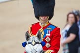 Trooping the Colour 2013: Close-up of HRH The Duke of Cambridge, Colonel Irish Guards, on horseback during the Inspection of the line..
Horse Guards Parade, Westminster,
London SW1,

United Kingdom,
on 15 June 2013 at 11:02, image #303