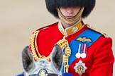 Trooping the Colour 2013: Close-up of HRH The Duke of Cambridge, Colonel Irish Guards, on horseback during the Inspection of the line..
Horse Guards Parade, Westminster,
London SW1,

United Kingdom,
on 15 June 2013 at 11:02, image #304