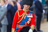 Trooping the Colour 2013: Close-up of HRH The Prince of Wales, Colonel Welsh Guards, on horseback during the Inspection of the line..
Horse Guards Parade, Westminster,
London SW1,

United Kingdom,
on 15 June 2013 at 11:02, image #306