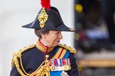 Trooping the Colour 2013: Close-up of HRH The Princess Royal, Colonel The Blues and Royals (Royal Horse Guards and 1st Dragoons), smiling, on horseback during the Inspection of the line..
Horse Guards Parade, Westminster,
London SW1,

United Kingdom,
on 15 June 2013 at 11:02, image #312