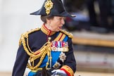 Trooping the Colour 2013: Close-up of HRH The Princess Royal, Colonel The Blues and Royals (Royal Horse Guards and 1st Dragoons), talking, on horseback during the Inspection of the line..
Horse Guards Parade, Westminster,
London SW1,

United Kingdom,
on 15 June 2013 at 11:02, image #313