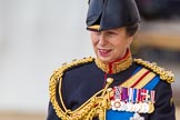 Trooping the Colour 2013: Close-up of HRH The Princess Royal, Colonel The Blues and Royals (Royal Horse Guards and 1st Dragoons), smiling, on horseback during the Inspection of the line..
Horse Guards Parade, Westminster,
London SW1,

United Kingdom,
on 15 June 2013 at 11:02, image #314