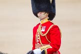 Trooping the Colour 2013: The Aide-de-Camp, Captain John James Hathaway-White, Grenadier Guards, during the Inspection of the Line..
Horse Guards Parade, Westminster,
London SW1,

United Kingdom,
on 15 June 2013 at 11:02, image #324