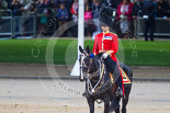 Trooping the Colour 2013: The Major of the Parade, Major H G C Bettinson, Welsh Guards. Image #351, 15 June 2013 11:06 Horse Guards Parade, London, UK