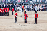 Trooping the Colour 2013: About to hand over the Colour - Colour Sergeant R J Heath, Welsh Guards, with the two (unfortunately unnamed) sentries. Image #444, 15 June 2013 11:18 Horse Guards Parade, London, UK