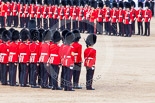 Trooping the Colour 2013: No. 1 Guard (Escort for the Colour),1st Battalion Welsh Guards is ready and in position to receive the Colour. Image #447, 15 June 2013 11:19 Horse Guards Parade, London, UK