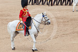 Trooping the Colour 2013: The Field Officer in Brigade Waiting, Lieutenant Colonel Dino Bossi, Welsh Guards, saluting Her Majesty during the March Past in Quick Time. Image #613, 15 June 2013 11:47 Horse Guards Parade, London, UK