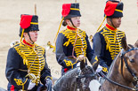 Trooping the Colour 2013: The Ride Past - the King's Troop Royal Horse Artillery. Image #720, 15 June 2013 11:58 Horse Guards Parade, London, UK