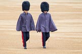 The Colonel's Review 2014.
Horse Guards Parade, Westminster,
London,

United Kingdom,
on 07 June 2014 at 09:50, image #21