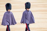 The Colonel's Review 2014.
Horse Guards Parade, Westminster,
London,

United Kingdom,
on 07 June 2014 at 09:51, image #25