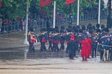 The Colonel's Review 2014.
Horse Guards Parade, Westminster,
London,

United Kingdom,
on 07 June 2014 at 10:04, image #46