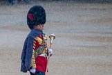 The Colonel's Review 2014.
Horse Guards Parade, Westminster,
London,

United Kingdom,
on 07 June 2014 at 10:04, image #47