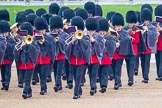 The Colonel's Review 2014.
Horse Guards Parade, Westminster,
London,

United Kingdom,
on 07 June 2014 at 10:05, image #56