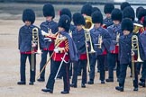 The Colonel's Review 2014.
Horse Guards Parade, Westminster,
London,

United Kingdom,
on 07 June 2014 at 10:17, image #87