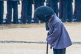 The Colonel's Review 2014.
Horse Guards Parade, Westminster,
London,

United Kingdom,
on 07 June 2014 at 10:20, image #100