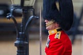 The Colonel's Review 2014.
Horse Guards Parade, Westminster,
London,

United Kingdom,
on 07 June 2014 at 10:36, image #152