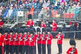 The Colonel's Review 2014.
Horse Guards Parade, Westminster,
London,

United Kingdom,
on 07 June 2014 at 10:38, image #157