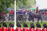 The Colonel's Review 2014.
Horse Guards Parade, Westminster,
London,

United Kingdom,
on 07 June 2014 at 10:38, image #160