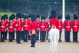 The Colonel's Review 2014.
Horse Guards Parade, Westminster,
London,

United Kingdom,
on 07 June 2014 at 10:39, image #161