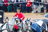 The Colonel's Review 2014.
Horse Guards Parade, Westminster,
London,

United Kingdom,
on 07 June 2014 at 10:59, image #259