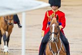 The Colonel's Review 2014.
Horse Guards Parade, Westminster,
London,

United Kingdom,
on 07 June 2014 at 10:59, image #263