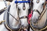 The Colonel's Review 2014.
Horse Guards Parade, Westminster,
London,

United Kingdom,
on 07 June 2014 at 10:59, image #268