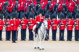 The Colonel's Review 2014.
Horse Guards Parade, Westminster,
London,

United Kingdom,
on 07 June 2014 at 11:00, image #270