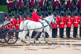 The Colonel's Review 2014.
Horse Guards Parade, Westminster,
London,

United Kingdom,
on 07 June 2014 at 11:02, image #288