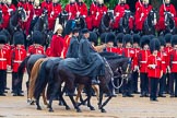 The Colonel's Review 2014.
Horse Guards Parade, Westminster,
London,

United Kingdom,
on 07 June 2014 at 11:02, image #290