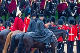 The Colonel's Review 2014.
Horse Guards Parade, Westminster,
London,

United Kingdom,
on 07 June 2014 at 11:02, image #291