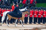 The Colonel's Review 2014.
Horse Guards Parade, Westminster,
London,

United Kingdom,
on 07 June 2014 at 11:02, image #292