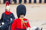 The Colonel's Review 2014.
Horse Guards Parade, Westminster,
London,

United Kingdom,
on 07 June 2014 at 11:05, image #296