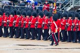 The Colonel's Review 2014.
Horse Guards Parade, Westminster,
London,

United Kingdom,
on 07 June 2014 at 11:23, image #422
