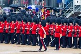 The Colonel's Review 2014.
Horse Guards Parade, Westminster,
London,

United Kingdom,
on 07 June 2014 at 11:23, image #423
