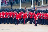 The Colonel's Review 2014.
Horse Guards Parade, Westminster,
London,

United Kingdom,
on 07 June 2014 at 11:24, image #433