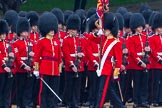 The Colonel's Review 2014.
Horse Guards Parade, Westminster,
London,

United Kingdom,
on 07 June 2014 at 11:24, image #434
