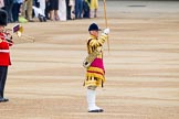 Trooping the Colour 2014.
Horse Guards Parade, Westminster,
London SW1A,

United Kingdom,
on 14 June 2014 at 10:17, image #108